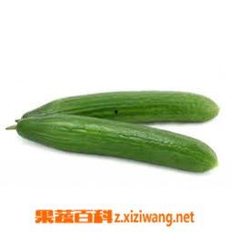 吃蔬瓜有什么好处,健康生活必备的五大益处揭秘” 第1张 吃蔬瓜有什么好处,健康生活必备的五大益处揭秘” 第1张